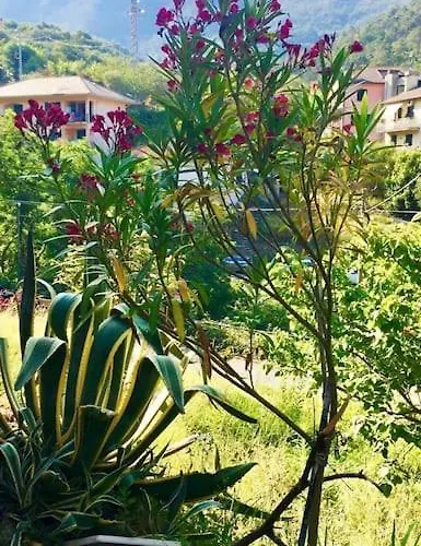 La Casa Del Marinaio, A 10 Minuti A Piedi Dal Mare شقة مونيلّي
