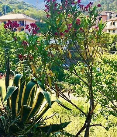La Casa Bouganville A Moneglia, 10 Min A Piedi Dal Mare Apartamento Moneglia